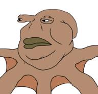 brown_skin eye_stalks series:animaljaks squid tentacle variant:meximutt // 888x849 // 18.7KB