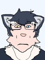 closed_mouth ear fur furry glasses grey_wolf_(kemomo_friends) hair heterochromia kemono_friends kemonomimi neutral soyjak subvariant:furplier subvariant:neutralplier transparent_background tvrkaryan_goonfuel variant:markiplier_soyjak wolf // 600x800 // 99.0KB