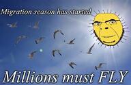 bird migration millions_must_die smile sun variant:cobson // 611x394 // 76.2KB