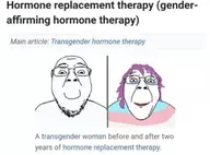 2soyjaks glasses hrt meta:possibly_duplicate smile tranny troon variant:bernd wikipedia wikipedia_article // 1290x956 // 159.0KB