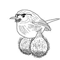 2024 angry angry_birds animal ball_bird balls beard bird birdie glasses hair soyjak stubble template // 1098x1097 // 363.8KB