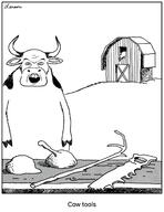 Cow_tools animal barn comic cow farm gary_larson open_mouth saw teeth tools variant:feraljak // 1656x2151 // 1.3MB