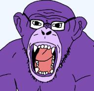 angry bonzi_buddy bonziworld glasses monkey purple_skin variant:monkeyjak // 720x696 // 36.4KB