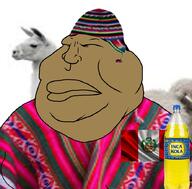 asian brown_skin clothes hat llama meta:tagme peru slant_eyes variant:meximutt // 886x872 // 309.3KB