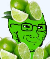 food foodjak fruit glasses green_skin lime series:fruiterz! smirk smug soyjak stubble variant:soyak // 675x800 // 572.4KB