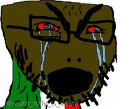 OP_IS_A_MINDBROKEN_PAJEET_RETARD_WHO_IS_OBSESSED_WITH_ITARYANS india italy // 800x655 // 227.8KB