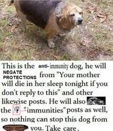 chad diddy dog evil lion soyjak variant:soyak // 474x553 // 471.7KB