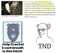 2soyjaks bloodshot_eyes buck_teeth glasses mouse mustache open_mouth rat red_eyes smile smug soyjak stubble total_nigger_death variant:bernd variant:chudjak yellow_teeth // 754x694 // 183.0KB