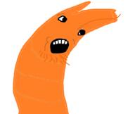 Shrimpjak beard op_is_a_retarded_lazy_faggot_for_not_tagging_his_own_shit open_mouth shrimp variant:shrimpjak // 895x755 // 31.4KB