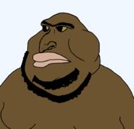jewish_nose kike sandnigger shitskin subvariant:arabmutt2 variant:meximutt // 888x849 // 36.3KB