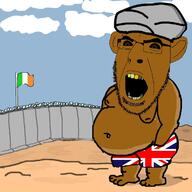 arm border brown_eyes brown_skin clothes country drawn_background ear flag flag:ireland flag:united_kingdom full_body glasses hand hat ireland leg open_mouth soyjak stubble turban underpants united_kingdom variant:cobson yellow_teeth // 1200x1200 // 500.6KB