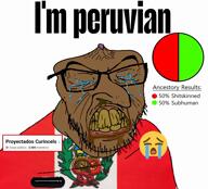 angry booger brown_skin crying flag:peru incel nigger peru retard shitskin variant:feraljak video // 1188x1080, 4.1s // 289.2KB