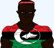 african_aryan black_skin buff bvll glasses hair headband kara_boga muscles red_lips subvariant:muscular_chud turkiye tvrkaryan tvrkiye variant:chudjak yellow_sclera // 1059x929 // 94.0KB