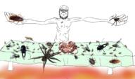 arm bug closed_mouth fly full_body glasses hand mustache smile soyjak spider stubble table variant:a24_slowburn_soyjak worm // 1083x640 // 562.3KB