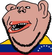 amerimutt brown_skin clothes country ear flag soyjak stubble subvariant:impish_amerimutt variant:impish_soyak_ears venezuela // 598x628 // 27.0KB