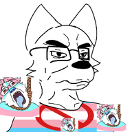 ack flag:transgender_pride_flag flag:transgender_pride_flag_with_prohibition_sign furry glasses smile subvariant:furchud subvariant:trannyfur transparent_background variant:bernd variant:chudjak white_fur // 1000x1000 // 292.2KB