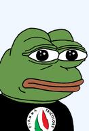 amphibian bald closed_mouth clothes europe european fire flame frog green_skin italy lips looking_at_you movimento_sociale_fiamma_tricolore nas nas:pepe pepe pepe_the_frog politics transparent_background tshirt // 1344x1973 // 121.2KB