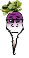 closed_mouth food hair leaf neutral purple purple_skin soyjak stubble subvariant:neutralplier turnip variant:markiplier_soyjak vegetable // 600x1200 // 352.2KB