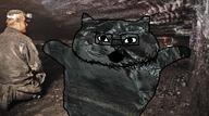 animal bald cat catjak coal coal_mine coals glasses ias jak stubble variant:catjak // 960x533 // 903.5KB