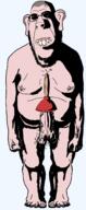 biting_lip full_body hair kurwa meta:tagme op_eez__retard_leezy_faggat_fr_nat_taggeeng_heez_own_sheet op_is_a_mindbroken_brown_shitskin_obsessed_with_brown_penises plunger subvariant:hornyson teeth variant:cobson // 1160x2816 // 151.4KB