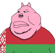 belarus country meta:tagme pig pigskin pink_skin slavic stubble variant:meximutt // 888x849 // 15.1KB