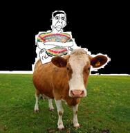 cow irl_background lithuania nas:nigger_cow nigger_cow ruda_gernsio_karvė subvariant:suspicious_chudjak tie_dye variant:chudjak // 638x652 // 62.0KB