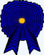 accesory award awards infinite meta:nas nas nas:award recursion // 177x217 // 36.0KB