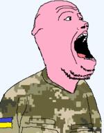 camouflage gape open_mouth pig soldier ukraine ukrainian_flag variant:unknown // 251x322 // 23.6KB