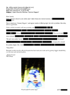 email epstein epstein_files gem gem_skin redacted subvariant:feralnigger variant:feraljak // 1700x2286 // 884.2KB