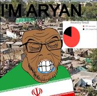 aryan brown_skin clenched_teeth closed_eyes flag flag:iran iran iranian irl_background its_over soyjak text variant:feraljak // 1463x1440 // 393.4KB