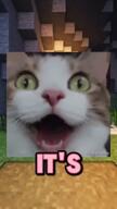 Parkour amerimutt animal breaking_bad cat conservative fundamental_paper_education kai_cenat kaicenat meta:Not_OC meta:im_a_lazy_faggot_so_tag_this_for_me meta:the_fact_that_this_wasn't_posted_here_before_is_fucking_astonishing minecraft miss_circle sharp_teeth variant:chudjak variant:cobson variant:feraljak variant:nojak variant:smugjak video walter_white // 480x850, 88.6s // 20.2MB