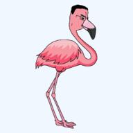 beak bird feather flamingo full_animal get glasses palindrome pink_skin roblox series side_profile soyjak variant:chudjak wing // 1200x1200 // 34.1KB