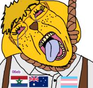 06eb australia bloodshot_eyes clothes crying femjanny glasses hair hanging janny morocco netherlands open_mouth overalls rope soyjak tranny variant:bernd // 619x585 // 129.1KB