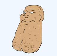 Artist:Test_1234 aryan aryan_chad bald blue_eyes brown_skin buff chin meta:tagme microvariant:MexiNut peanut shell subvariant:mexiaryan // 886x872 // 35.3KB