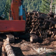 ack anhero animal animated arm blood death ear full_body glasses hand leg mustache noose open_mouth soyjak subvariant:feralsquirrel tail thumbnail_bait trend:squirreljakking variant:feraljak woodchipper // 340x512 // 966.6KB