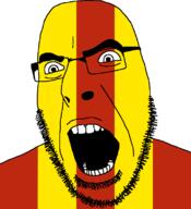 country flag flag:lodz full_head glasses hair lodz looking_to_the_right open_mouth poland soyjak stubble teeth text variant:cobson voivodeship // 721x789 // 20.3KB