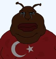 angry antenna closed_mouth crying fat flag:turkiye front_facing lips obese sad soyjak subvariant:meximutt_front3 sweating template turkiye turkroach tvrkaryan variant:meximutt // 795x849 // 35.2KB