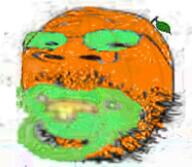 baby bald binky caca food froot fruit glasses green_glasses head jpeg jpeg_compression leaf low_quality no_body orange_(fruit) orange_skin pacifier round_head small_eyes soyjak stubble variant:gapejak white_background // 186x162 // 65.5KB