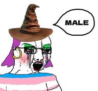 angry arm clothes crying dyed_hair earring glasses harry_potter hat lipstick makeup mascara open_mouth pink_hair sorting_hat speech_bubble text tranny variant:chudjak // 494x457 // 26.8KB