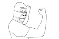 angry variant:successjak // 800x534 // 13.0KB