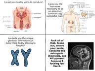 anatomy balls brain chart chromosomes endocrine_system gigachad male meme meta:cringe nas:gigachad penis testicles text troon_logic // 4032x3024 // 1.2MB anatomy balls brain chart chromosomes endocrine_system gigachad male meme meta:cringe nas:gigachad penis testicles text troon_logic // 4032x3024 // 1.2MB