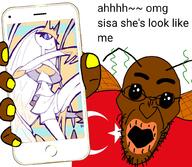 Pheromosa flag:turkiye oh_my_god_she_is_so_attractive phone pokemon sisa_eyes turkiye turkroach variant:angry_soyjak // 1000x872 // 459.1KB