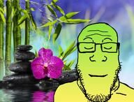 calm calming chinese_text flower green nature pebbles plant smile variant:markiplier_soyjak water yellow // 1091x827 // 529.6KB