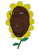 flower looking_at_you plant shitty smile subvariant:wholesome_soyjak sunflower sunflower_head variant:gapejak wholesomerino // 900x1300 // 127.6KB