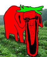 animal ear elephant food foodjak fruit full_body glasses leaf leg nature open_mouth red_skin soyjak strawberry strawberry_elephant variant:unknown // 680x823 // 590.0KB