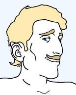 a10_eyes blond blue_eyes buff ear hair moustache not_a_fucking_soyjak smile smirk smug subvariant:pajeetaryan template trend:aryan variant:pajeetjak white_skin // 634x783 // 13.3KB