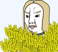 clothes eyelashes female plant soyjak subvariant:female_chudjak subvariant:trad_wife variant:chudjak wheat yellow_hair // 337x299 // 58.7KB