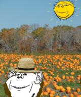 amish field irl_background pumpkin soyjak variant:impish_soyak_ears // 366x440 // 328.6KB