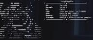 ack ascii black_and_white bloodshot_eyes jarty_OS jartycuck linux rope subvariant:chudjak_front subvariant:jartycuck subvariant:patrick suicide terminal variant:chudjak // 877x377 // 241.9KB