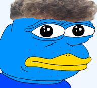 acne amphibian beak blue_skin brown_hair clothes frog looking_at_you nas:pepe pepe_the_frog series:x_inmigrants transparent_background twitter twitter_immigrant wrinkles xitter zoomer zoomer_hair // 720x651 // 203.2KB